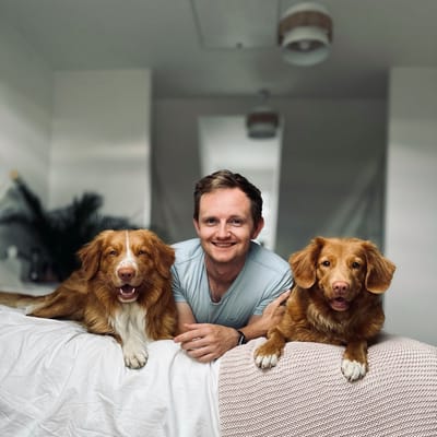 Jamie — Mixed breed